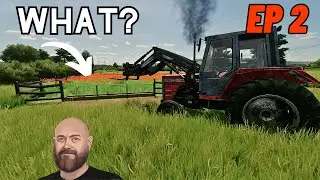 Greenwich | Why did we buy new animals for the farm?
