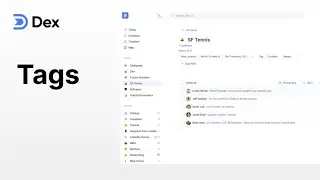 NEW Release - Tags 🏷️ - Organize your Dex Personal CRM