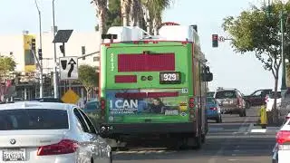 San Diego MTS Bus - Gillig Low Floor CNG 40' Route 929 #2417