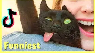 These Must be the CUTEST Pets on Tik Tok 🐶😻 TV Animal