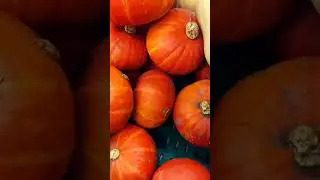 Тыква - королева осени!