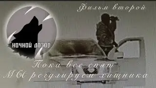 100 хищников уничтожено. Пока вы спите, МЫ,  «НОЧНОЙ ДОЗОР» регулируем численность хищника. Фильм 2.