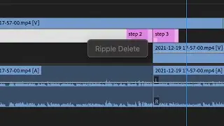 WHY Can't You RIPPLE DELETE In Premiere Pro? SYNC LOCK Explained