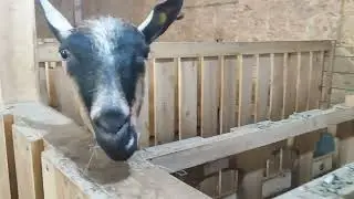 какими стали малыши.