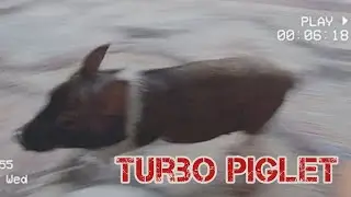 Turbo-piglet. Full version / Турбо-поросёнок. Полная версия