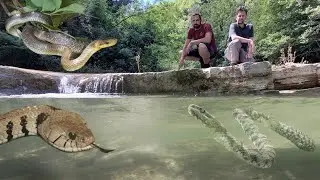 Fiume INVASO dai SERPENTI!