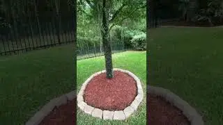World’s First Person Tree Trick Shot! 😱🤯 
