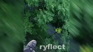 pyly