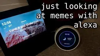 just looking at memes with alexa