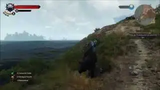 The Witcher 3: Wild Hunt  - Giant waves bug!