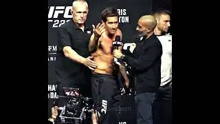 UFC jake Gyllenhaal