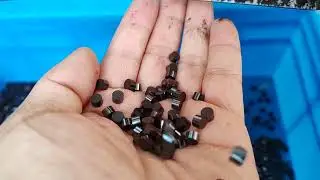 Catalyst tablet making machine #catalyst