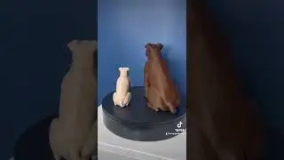 #pitbull