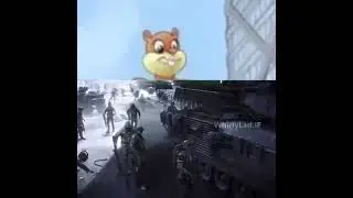 disaster