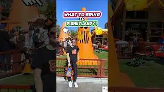 What CAN You Bring to Disneyland?! 🤔🏰 (Theme Park Bag Essentials)