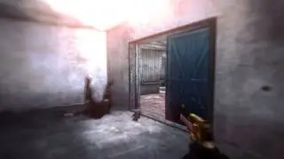Dualtage Loys | Beeman