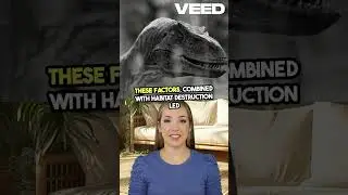 Reviving the Dodo  Science Explained!