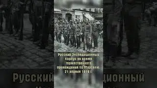 Русские солдаты во Франции #shorts #история #литература #классика