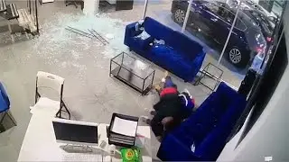 Dad shields his three kids from gunfire inside car dealership | Video
