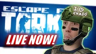 🔴 LIVE - Budget Builds  - Escape From Tarkov