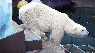 ОСЕННИЙ МАРАФОН КАЯ