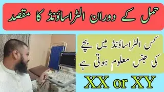 pregnancy usg | gender ultrasound | sonography purpose