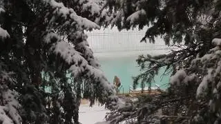 Нальчик-