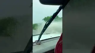 Обычна предка до города !