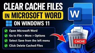 How to clear cache files in Microsoft Word on Windows 11 (2026