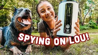 See What your Puppy Does When You Leave ! Dog Camera Review