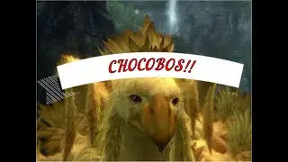 misión secundaria CHOCOBOS #finalfantasy13