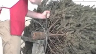 How to put on a Davis Tree Stand