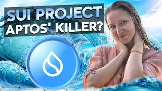SUI OVERVIEW 2024 | IS SUI 10 TIMES BETTER THAN APTOS?