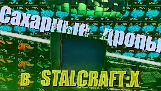 Десятки МИЛЛИОНОВ на Тихой Заводи — ЛУЧШЕЙ локации для фарма в STALCRAFT:X!