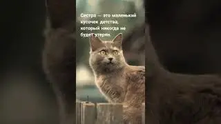7 июля 2023 г.