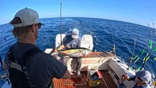 The Deep Blue| Marlin, Mahi, & Yellowfin Tuna