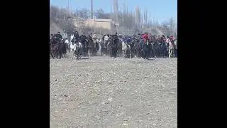 бузкаши деваштич хочахо абдурахмон 05 02 22 🇹🇯🇺🇿🇰🇿🇰🇬👍