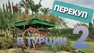 отдых в Турции 2020. Перекуп авто. Жизнь перекупа