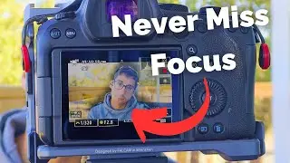 The BEST Canon R6 Mark ii AutoFocus Settings For Video (2025)