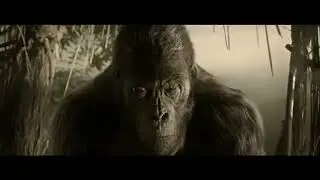 Monkey Catch The Tarzan