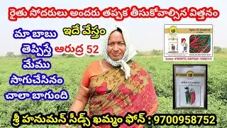 4 రకాల్లో ఇదే అన్నీటికి తట్టుకోని నిలబడింది పెట్టుకో తగ్గ విత్తనమే|Chilli seeds telugu|Mirapa sagu