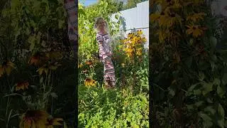 Итоги лета. #shorts #shortvideo #лето #дача #сад #огород #осень #прикол #смешно #тренды