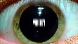 WHITEY - SATURDAY NIGHT ATE OUR LIVES (OFFICIAL AUDIO)