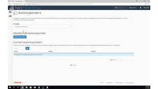 How can I set up an email auto responder?