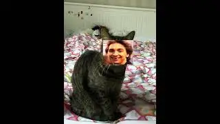 Горшок:) и мой Мумося 💖🐈‍⬛💖 #video #тренд #роблокс #говрек #смех #кот