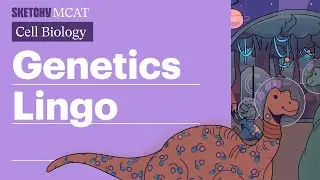 Genetics Lingo: Key Terms & Concepts Explained (Full Lesson)  | Sketchy MCAT