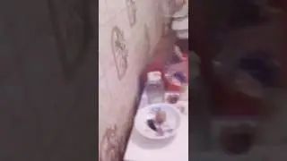 Жилье для инвалида  Ужасы Сыктывкара