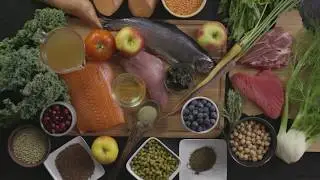 Dr Abby Huggins Discusses Pet Nutrition - Nulo Pet Food