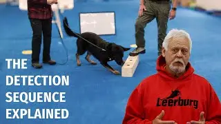 The Detection Sequence in Dog Training