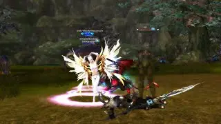 Trolling a DEX warrior in theo Shaiya Diverge 😂